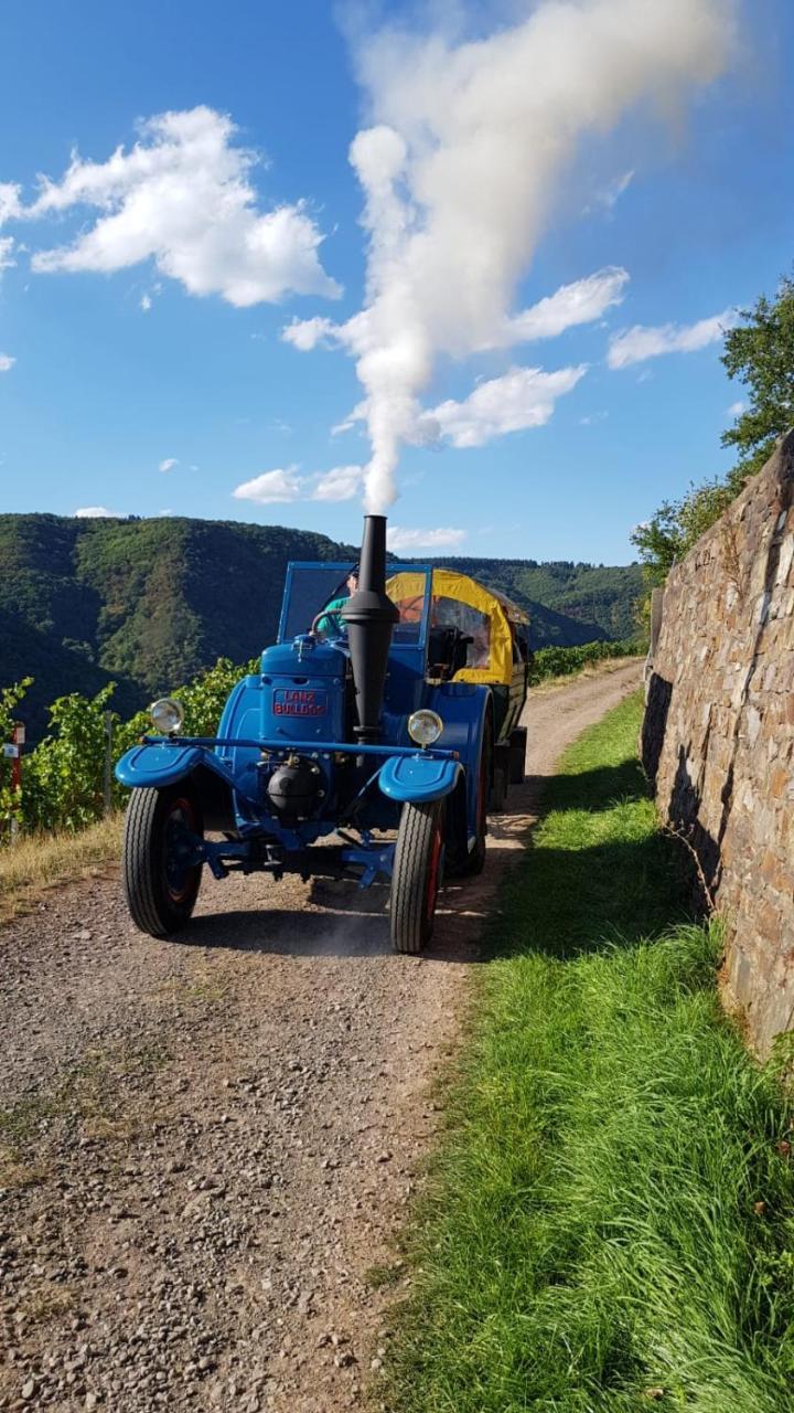 Weingut Erich Serwazi Hotel Mesenich Luaran gambar